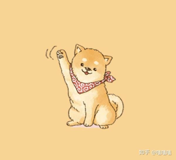 喜欢猫猫狗狗的少年