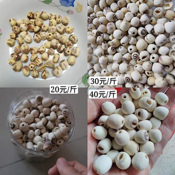 哪里的莲子干货最好莲子怎么看好不好