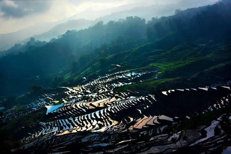 我一定选择红河,不是红河州的红河,是红河县的红河.