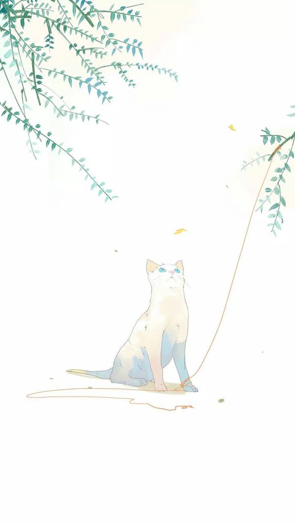 壁纸,背景都可以 龙猫 找着了配套的|ω) 悬崖上的金鱼姬 来自堆糖