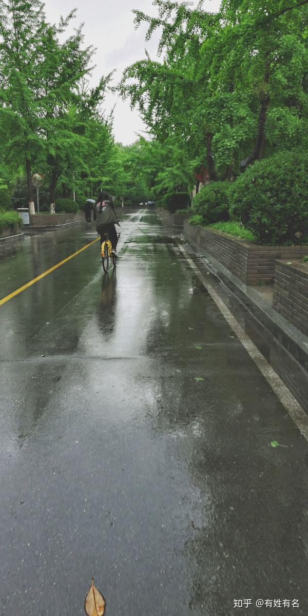 下雨天骑小黄的女生