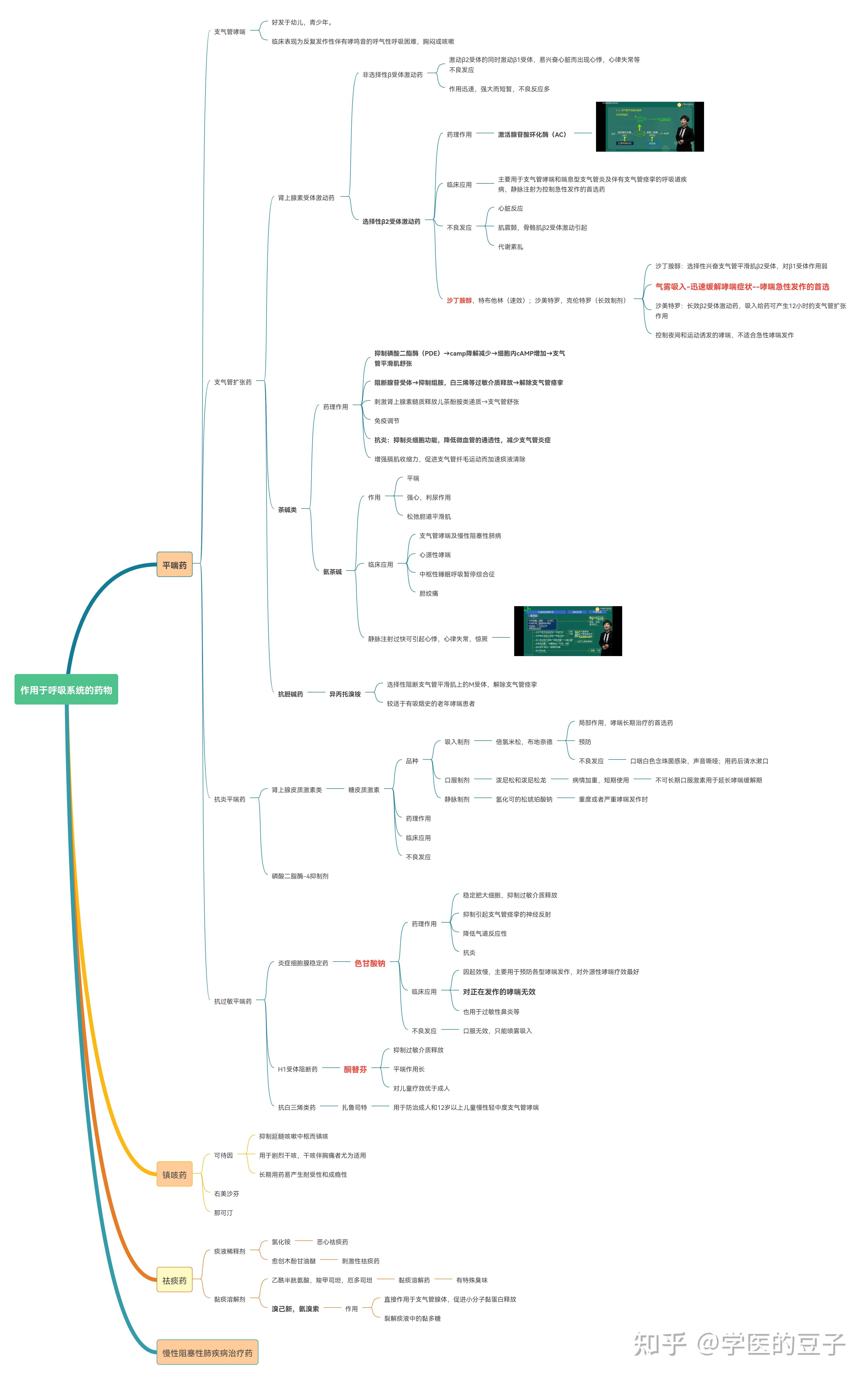 药理学景晴老师版思维导图