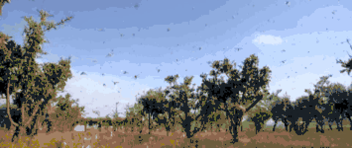 710_300gif 动态图 动图