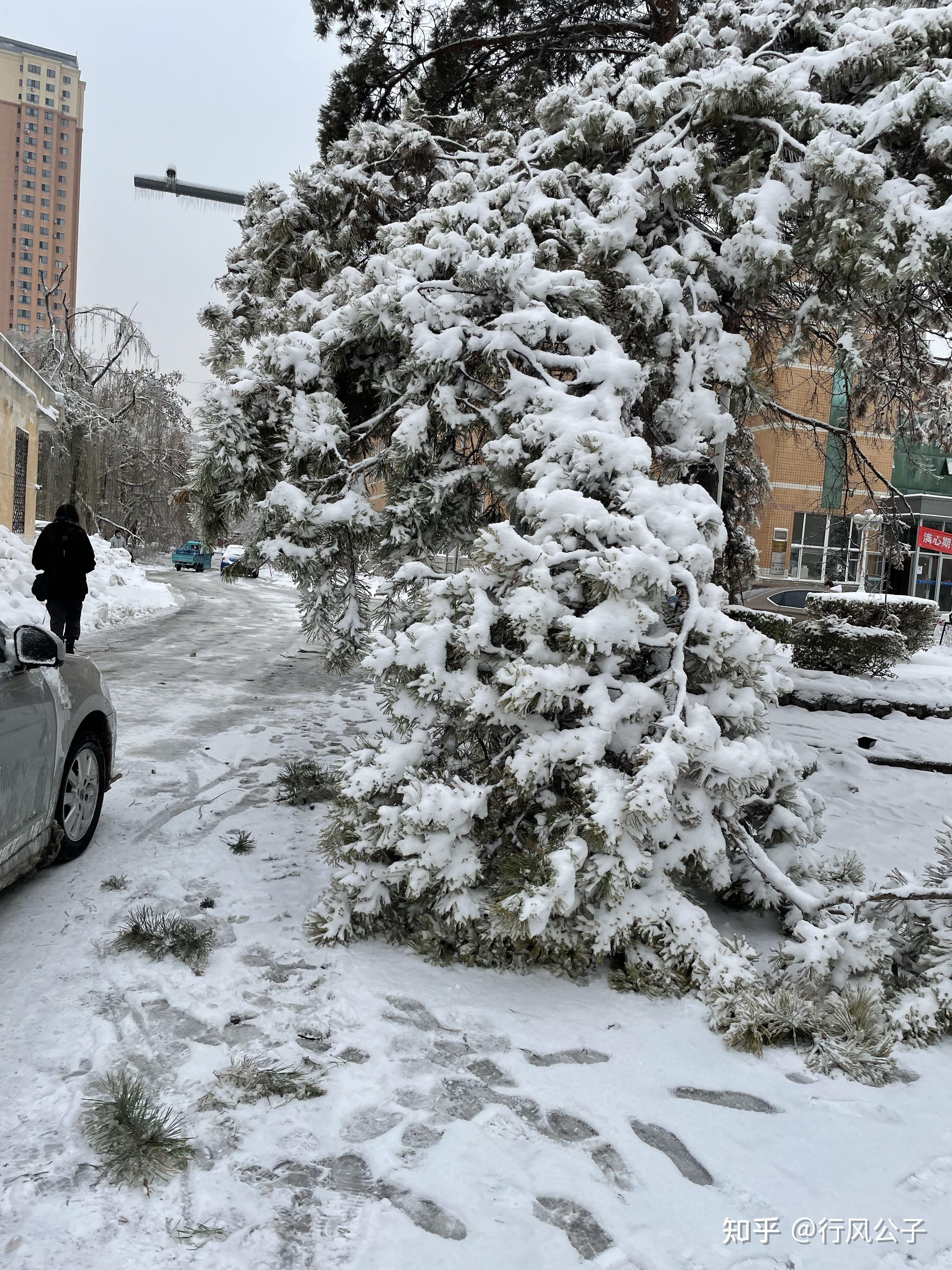 哈尔滨下雪啦你镜头下夜幕下的哈尔滨有多绝美