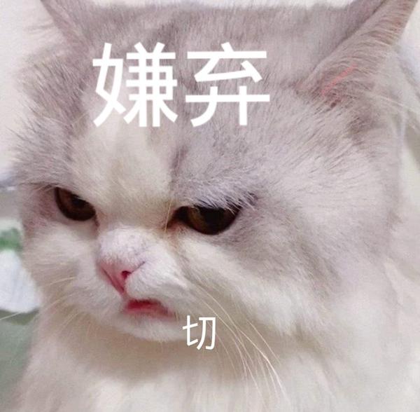 搞笑表情包 | "想你了,宝!