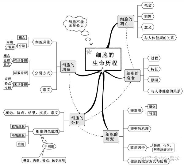 学霸整理高中生物最全思维导图重难点一目了然不看绝对可惜