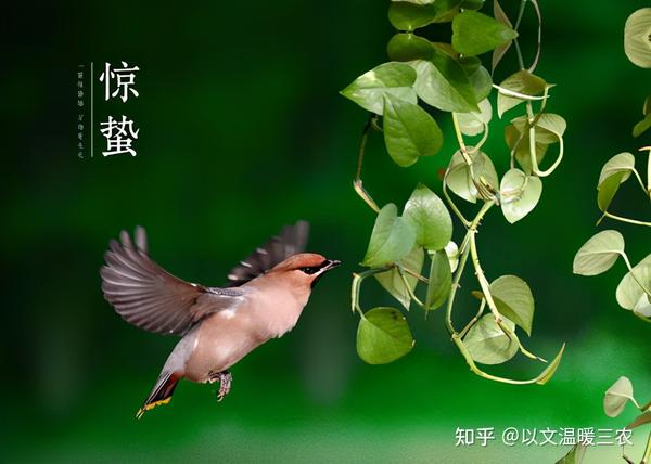 2021年的惊蛰是哪天?对农业生产有什么影响?有些什么习俗?