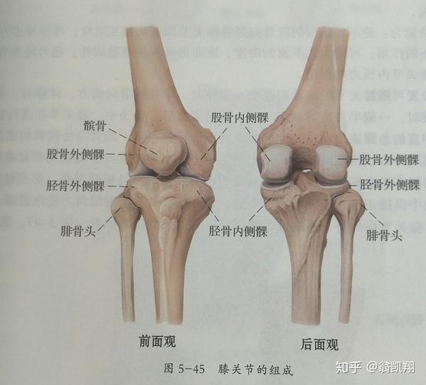 有哪些运动有助于膝盖康复,生活中怎样护膝盖,膝关节