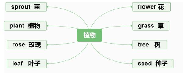 小学英语所有单词大全,用思维导图记单词,孩子背得又快又全面