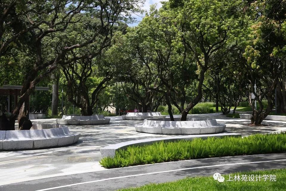 由于工期短,成本低,与传统市政公园的大面积铺石和大型苗木工程不同.
