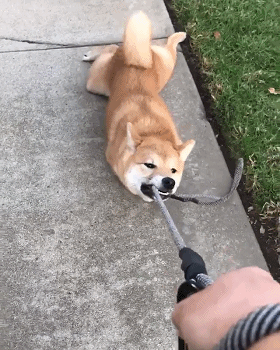 健身干货:上半身「推」与「拉」的平衡!