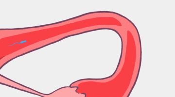 360_200gif 动态图 动图