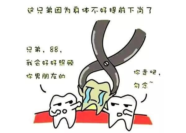 漫画解析:一颗牙齿掉了,其它牙齿都在干嘛?