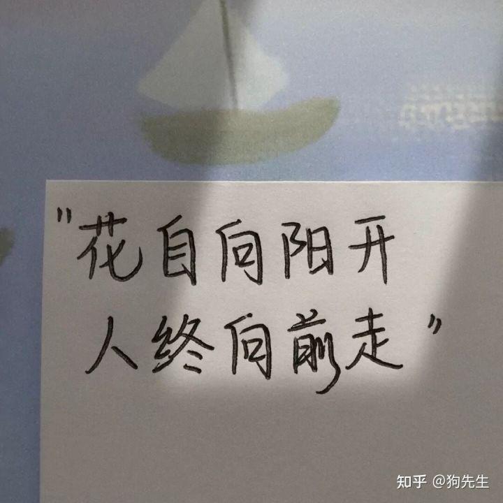 有哪些让人心酸又失望的句子?