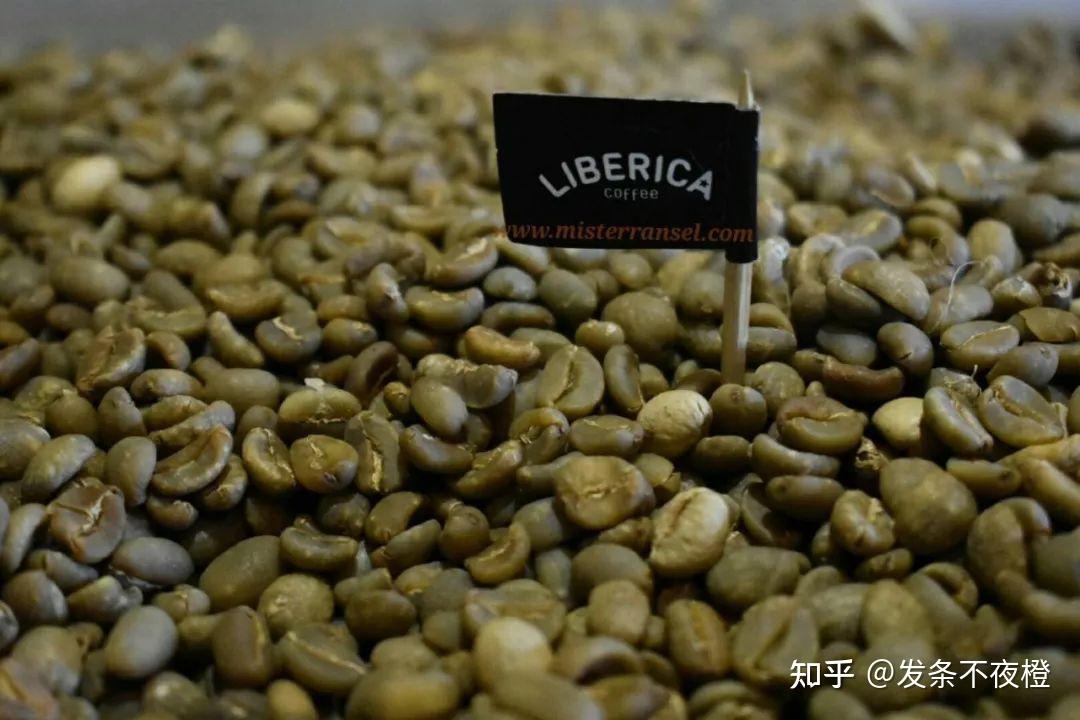 至于liberica利比里卡咖啡豆,产量很少,味浓而热,刺激性大,质量也