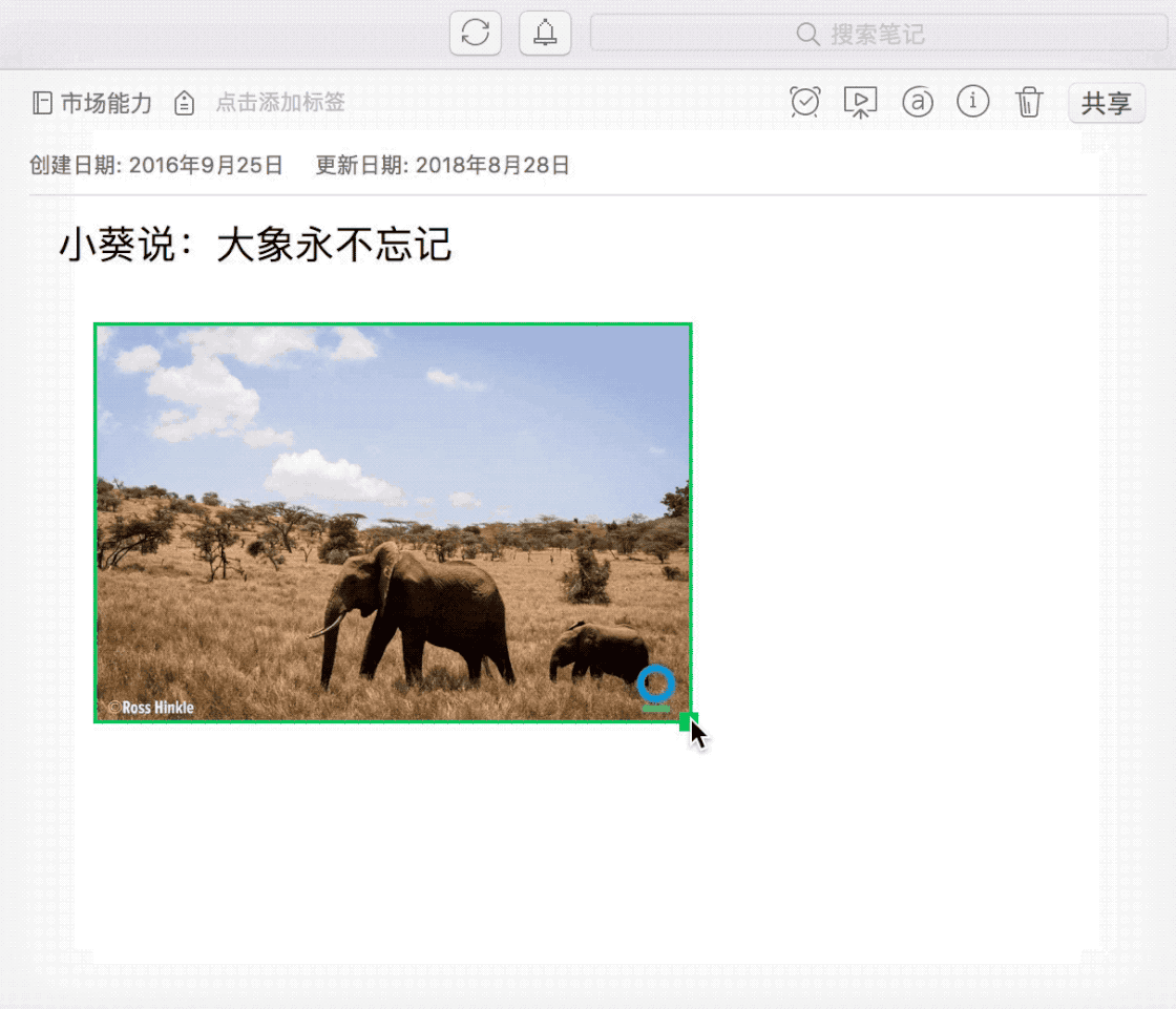 印象笔记终于支持markdown了如何才能真正用好它