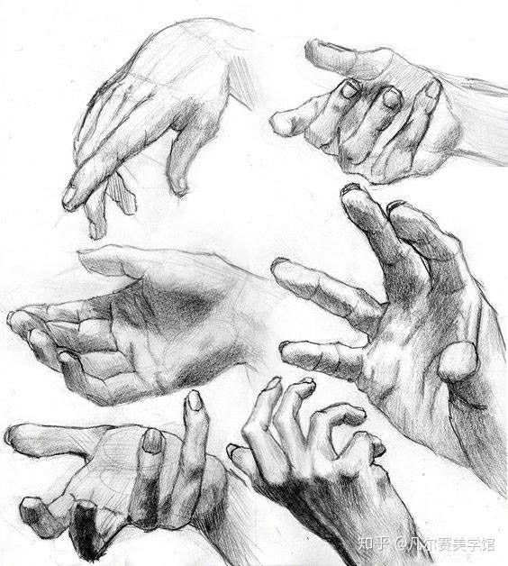 素描手部结构解析
