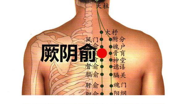 厥阴俞:位于背部,第4胸椎棘突下旁开1.5寸处