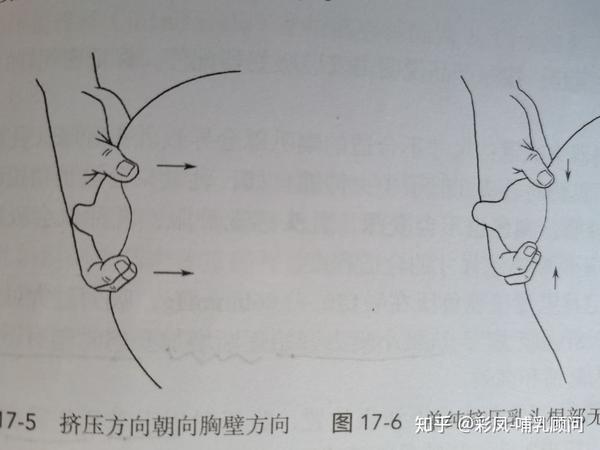 哺乳期如何手挤奶