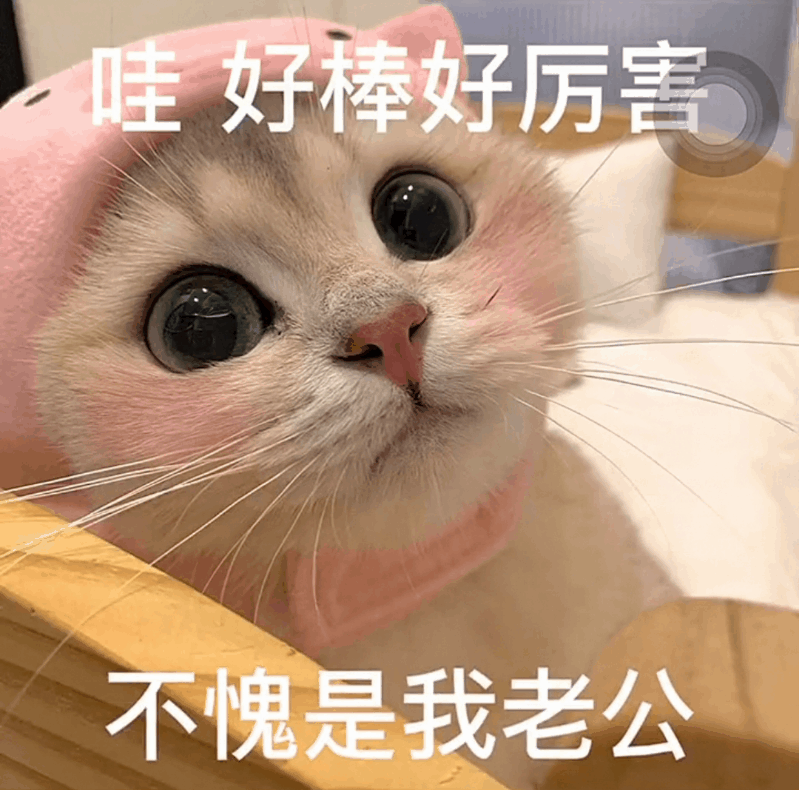 表情包好烦人呀