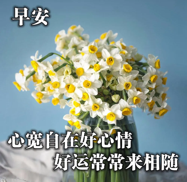 星期二清早祝福朋友早上好问候语 早上好问候语动图