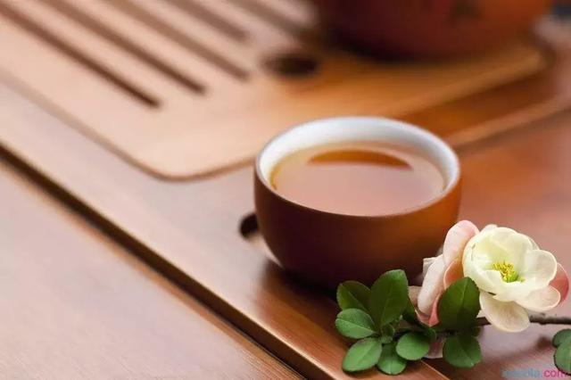普洱茶丨一盏茶的时光,品味悠然心境!