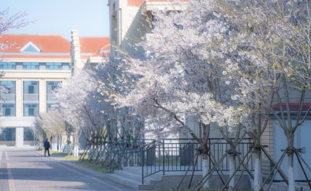 考研院校分析山东大学