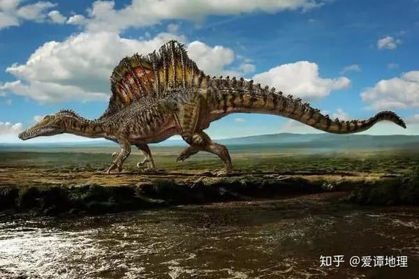 4,棘龙:目前已知最大的食肉恐龙,体长12到20米,生存于白垩纪中期的