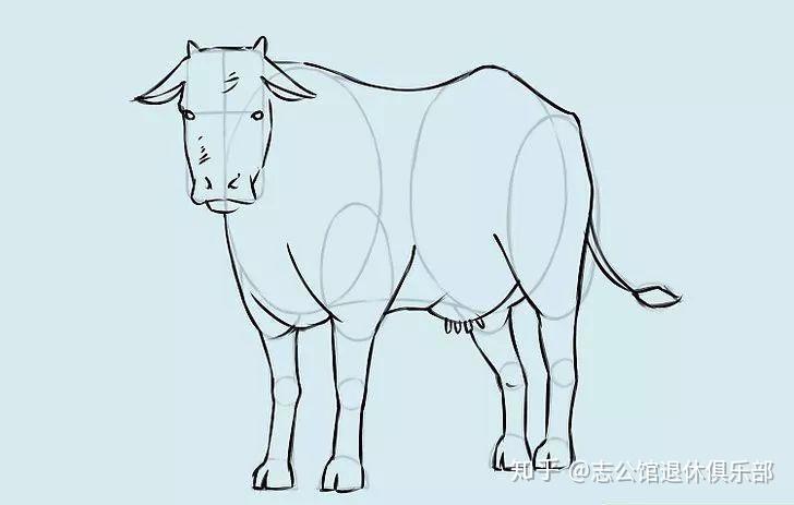 彩铅课堂149|三分钟,教你画出4头牛!