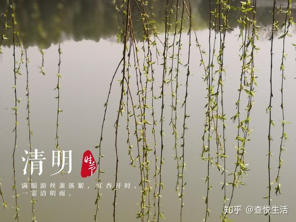 把子推母子敬葬与柳旁,把绵山改名为介山,把复活的柳树命名为清明柳
