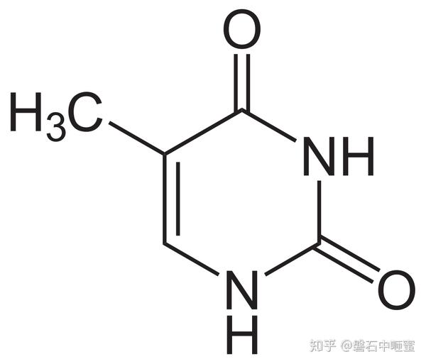 5-甲基胞嘧啶