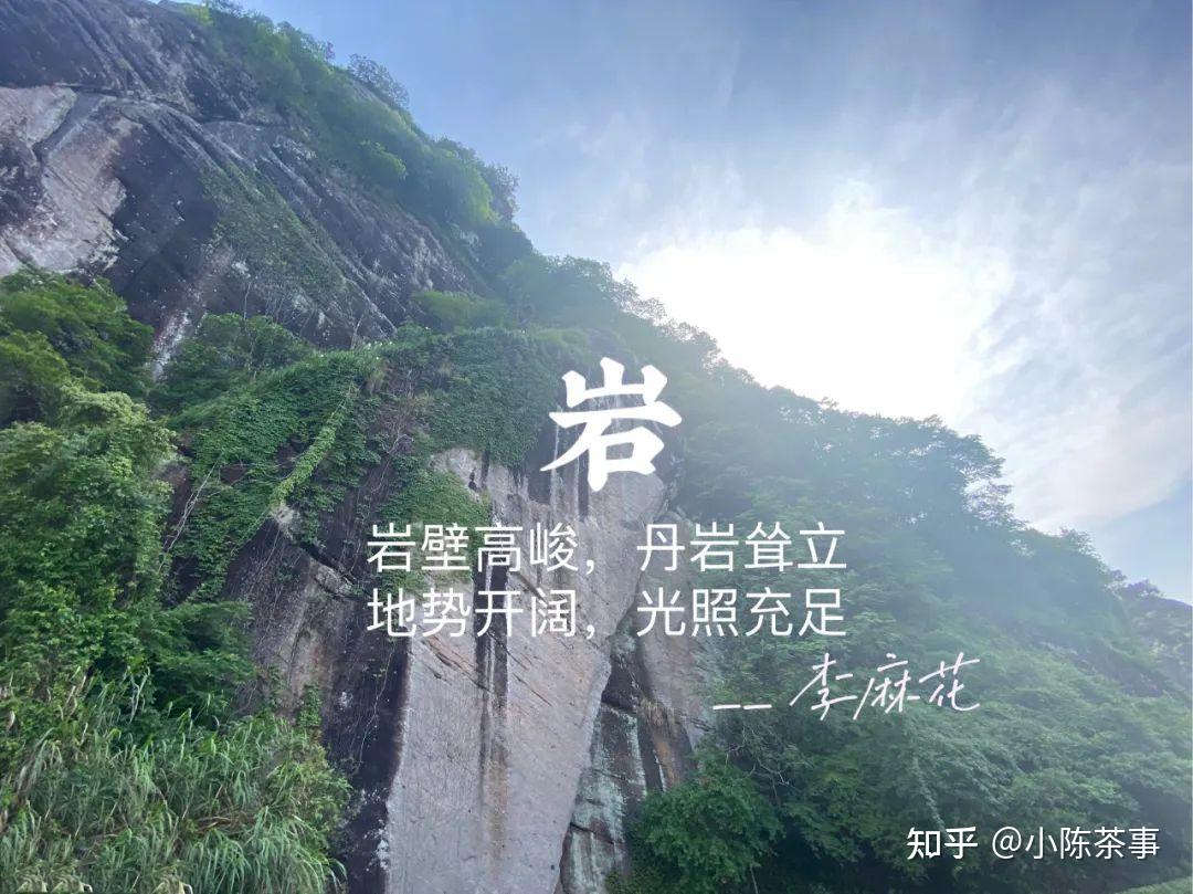 马头岩肉桂是武夷岩茶肉桂的天花板这3个谣言是时候披露了