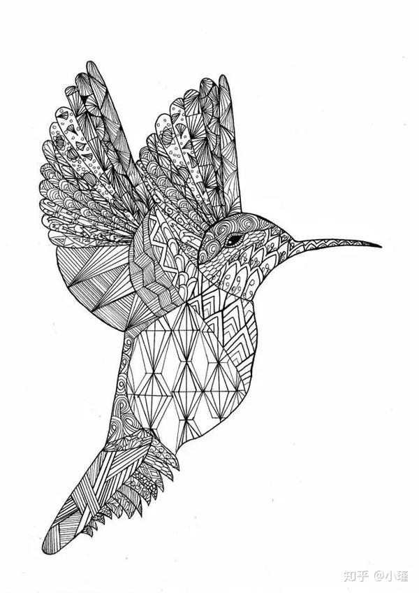 插画,线稿素材丨没有美术基础也可以专业,轻松有趣描线练习方法,速看!