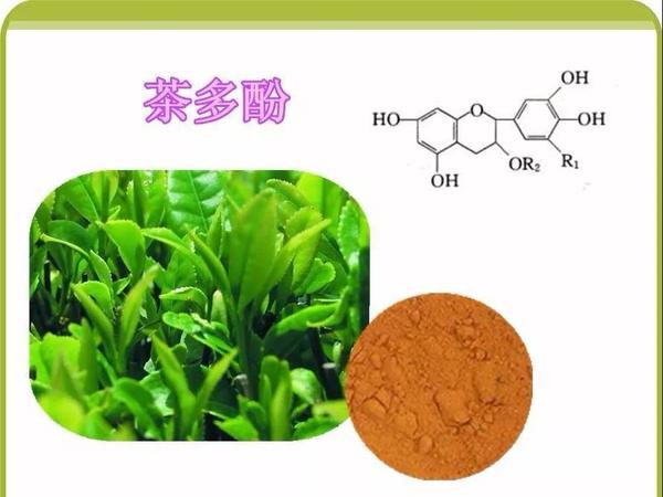 解析茶叶中的化学成分无机物和有机物