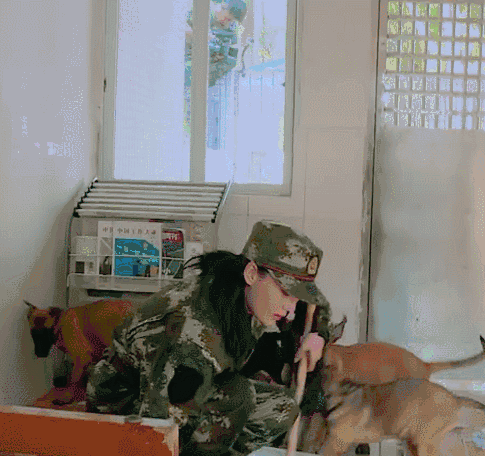 驯服警犬的张馨予光速征服观众,《奇兵神犬》强大的