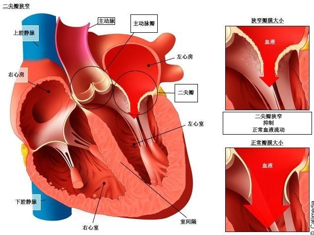 模型图纸 制作_小学数学教具制作模型_模型制作教案下载