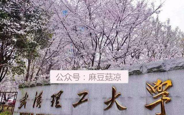 2021年武汉理工大学国际合作教育招生项目介绍