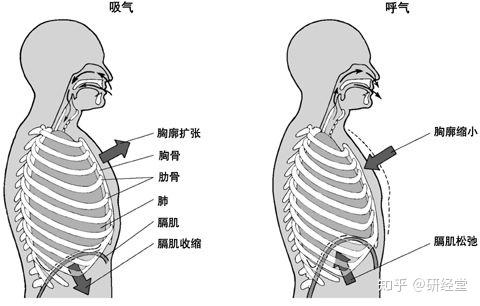 腰突患者日常生活应该注意什么?坐卧呼吸都有讲究!