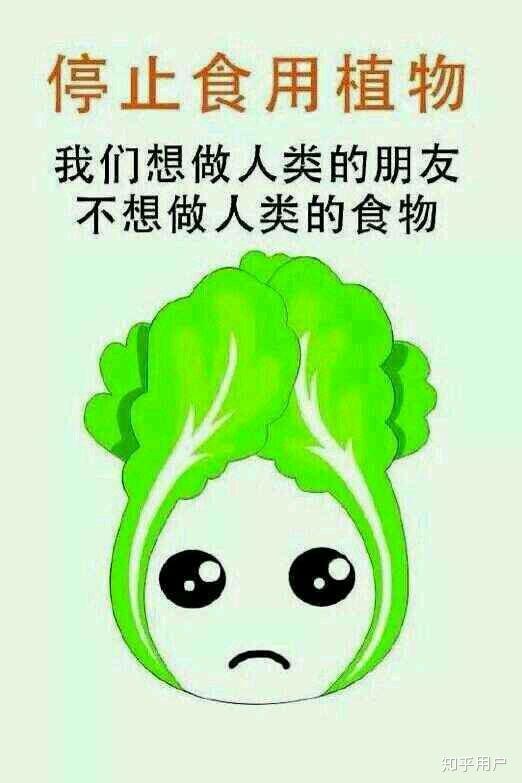 作为爱护植物协会的,强烈谴责你们这些素食主义者.