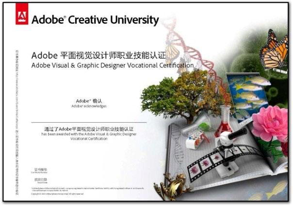 adobe03 创意大学计划认证体系和认证证书 - adobe