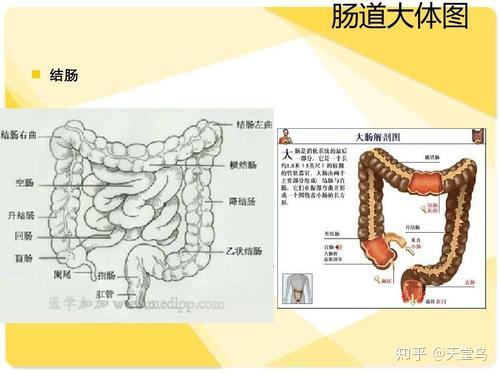 每日多了解个手术,不吃亏