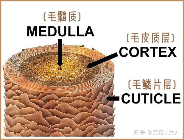 十元洗发皂洗出仙女的美丽长发头发蓬松的秘密大公开