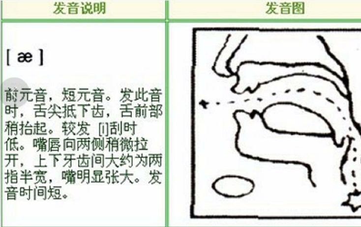 英语音标基础入门之清辅音/p/,浊辅音/b/的发音方法