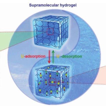 海南大学先进材料超分子水凝胶高效吸附海水中的铀