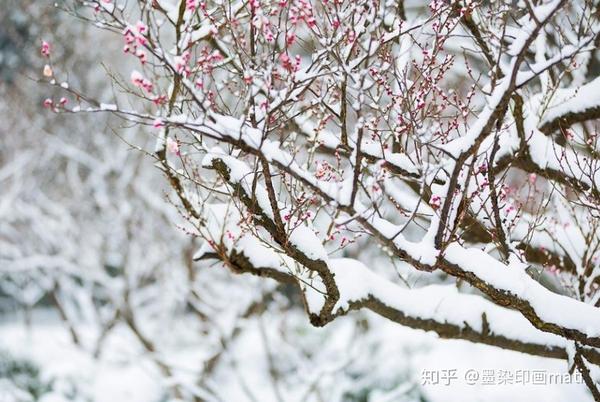 下雪天玩出新创意?学会这6招,拍出更惊艳,唯美的雪景照
