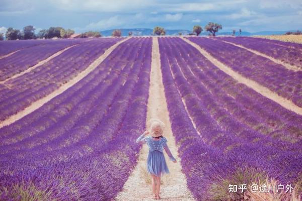 提起薰衣草花海,你可能首先会想到法国小镇普罗旺斯.