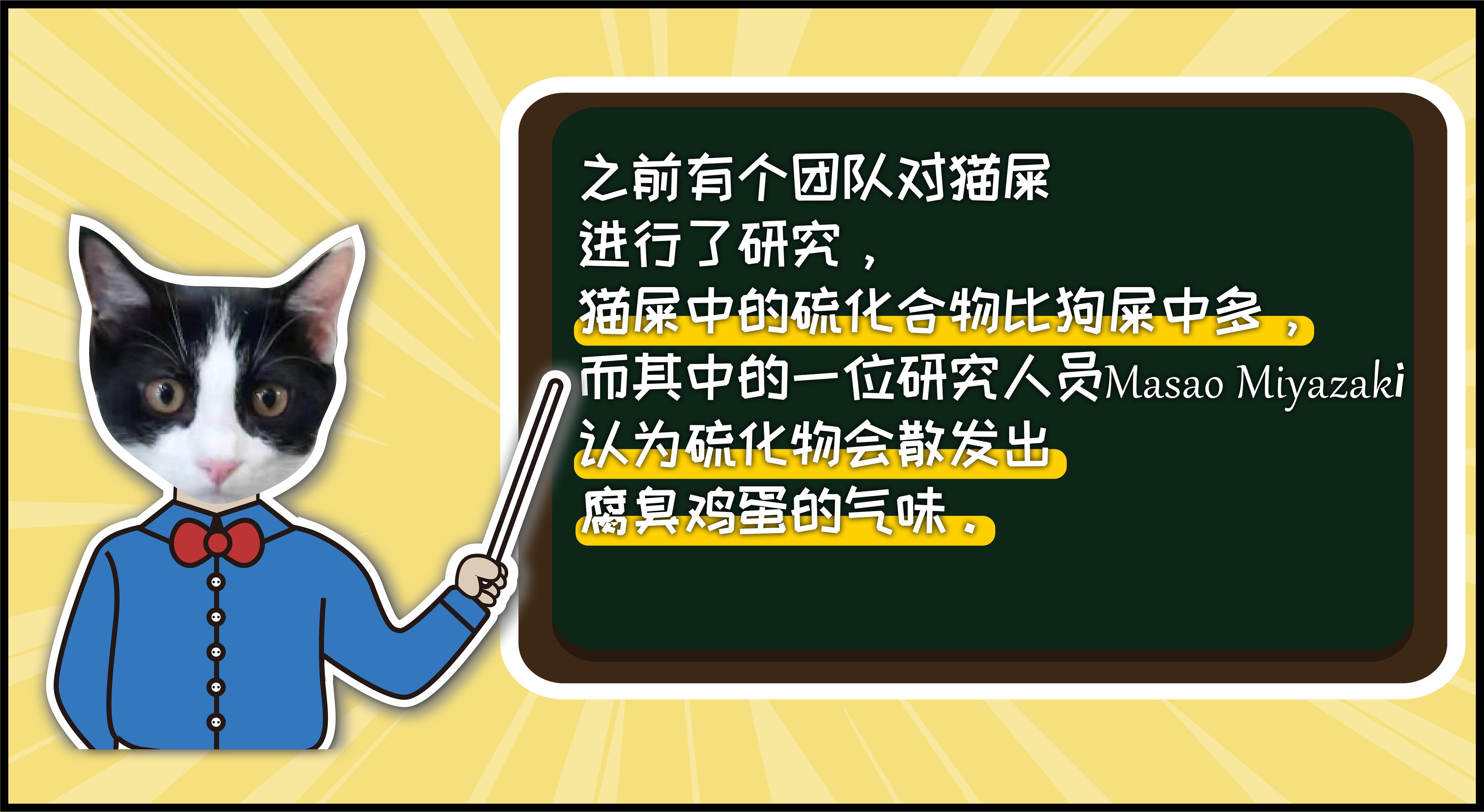 惹万千铲屎官深思的灵魂问题为什么猫屎比狗屎臭