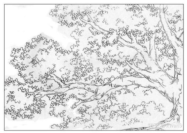 如何利用花草树木来营造绘画场景?让绘伴来教你场景技巧