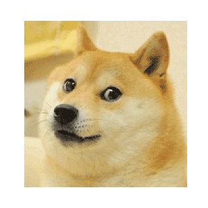 壁纸 动物 狗 狗狗 300_300 gif 动态图 动图