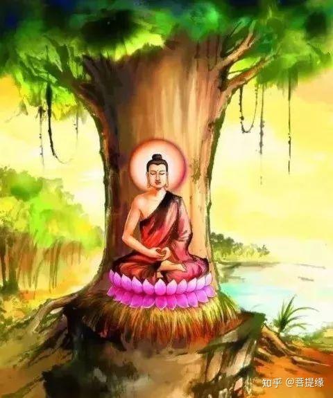 佛陀在菩提树下究竟证悟了什么